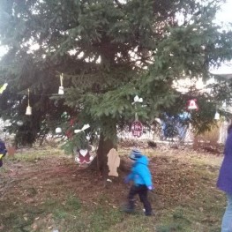 IMG 20171203 155027