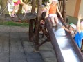 DSC02423