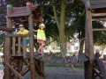 DSC02426