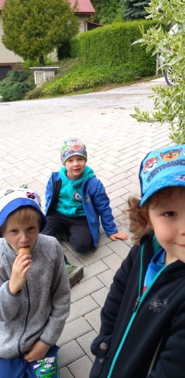 IMG 20190531 111243