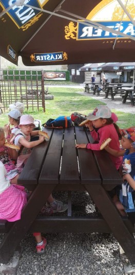 IMG 20190618 083514