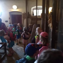 IMG 20190618 101935