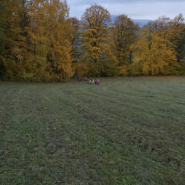 IMG 20191018 104815