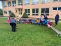 IMG 4951