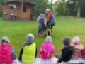 IMG 4963