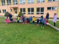 IMG 4967