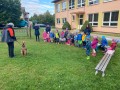 IMG 4968