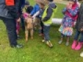IMG 4973