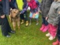 IMG 4974