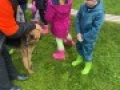 IMG 4980
