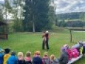IMG 4985