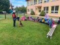 IMG 4993