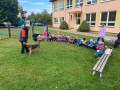 IMG 4994