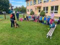 IMG 4995