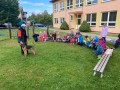 IMG 4996