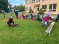 IMG 4998