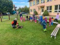 IMG 4999