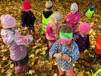 Výprava za veverkou Čiperkou