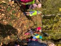 IMG 0988