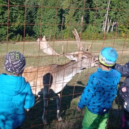 IMG 20221209 WA0096