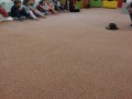 IMG 20230125 112851