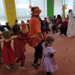 IMG 20230215 101615