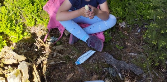 IMG 20230531 094917
