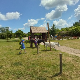 IMG 20230614 114829