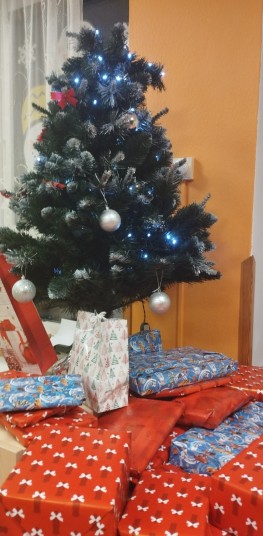 IMG 20231220 072421